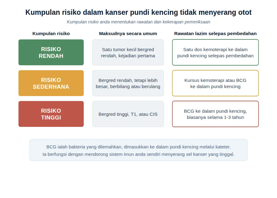 Jadual kumpulan risiko kanser pundi kencing tidak menyerang otot — risiko rendah, sederhana dan tinggi, dengan rawatan lazim bagi setiap satu.