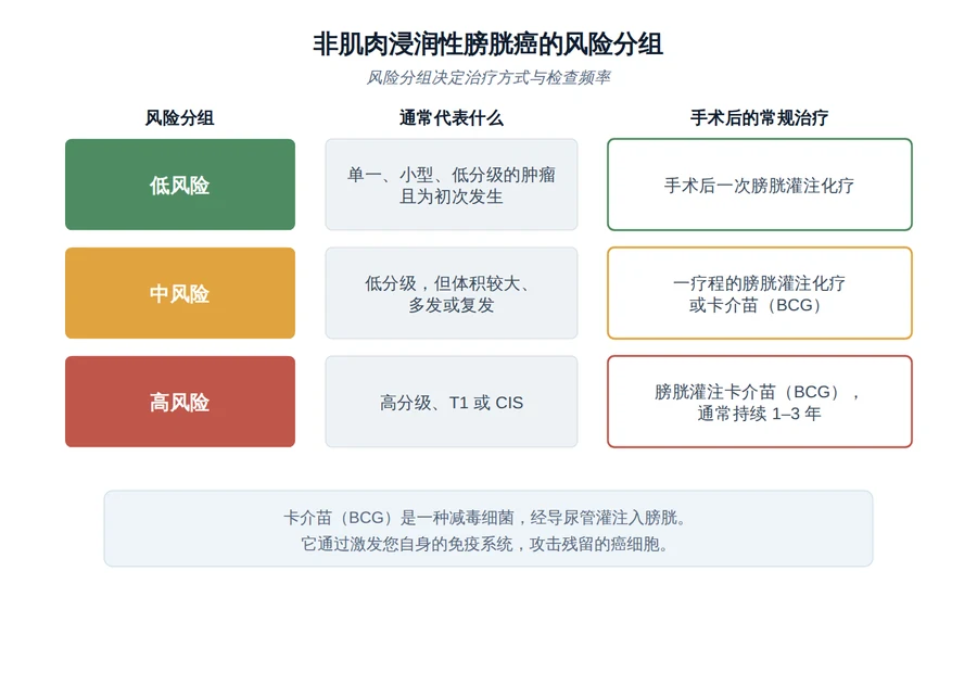 非肌肉浸润性膀胱癌风险分组表：低风险、中风险与高风险，以及各自的常规治疗。