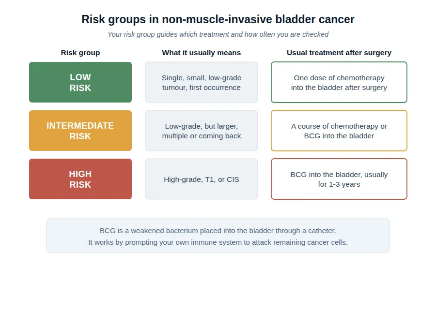 Chart of the three risk groups in non-muscle-invasive bladder cancer — low, intermediate and high — with what each usually means and the usual treatment after surgery.
